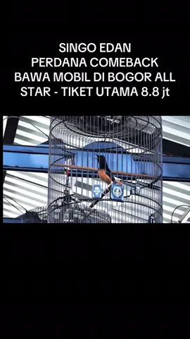 Inilah moment viral di hari ini - Murai Batu Singo edan Juara di tiket Utama 8.8 jt di 3rd anniversary Bogor all star Arena  #andribolang #muraibatusingoedan #bolangproduction #viral #ngawi24jam 