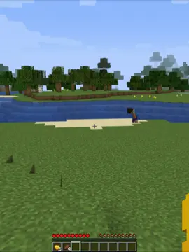 #mincraft #minecraftclips #minecraftedit #minecraftmovie #minecraftideas 