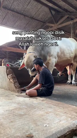 semangat teros bolo rezeki wes enek seng ngatur🐮🔥😇 Lagune syahdu tenan mas @Royhan Ni amillah @Pusma Shakira #wisnufarm #peternaksapiindonesia #peternakmuda #fyp #egowongtuo 