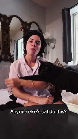 #fyp #catsoftiktok #comedy 