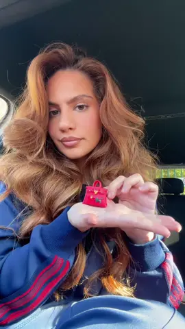 Mets la vidéo en favoris pour retrouver le lien @SCENTY • L’élégance à bord ❤️ #birkin #hermes #voiture #sentbon 