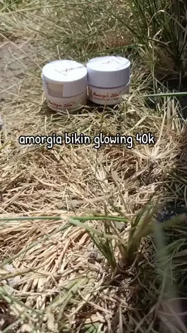 kepo sebelum harga berubah 