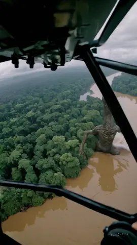 Giant Alien Creature Spotted in Amazon Rainforest During Military Celebrations! 👽🌳 #AmazonRainforest #AlienInAmazon #MilitaryCelebration #GiantCreature #MysteriousSightings  