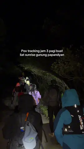 Rela tracking jam 3 pagi buat liat sunrise di gunung papandayan 🥺 #tracking #sunrise #papandayan #trip #berkenalan 
