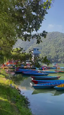 Humtum❤️#pokharalakeside❤️🤗❤️ #nature @TikTok Nepal 