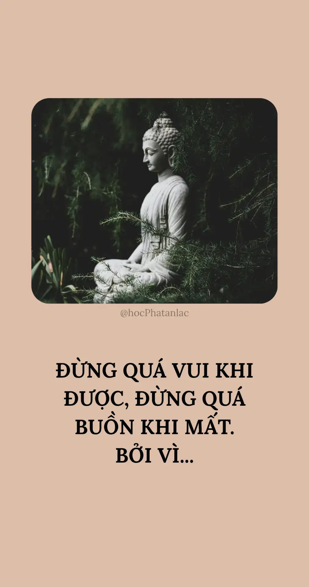 Đừng quá vui buồn trước được mất. #phật #hocphatmoingay #phatphap 