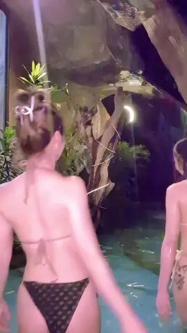 สาวน้อยน้ำตก