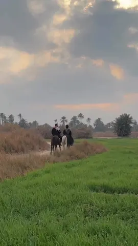 ❤️❤️ #اكسبلور 