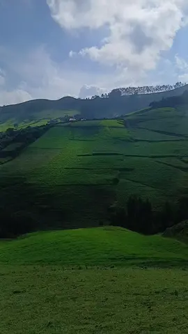 #ethiopian_tik_tok🇪🇹🇪🇹🇪🇹🇪🇹 #creatorsearchinsights #original 