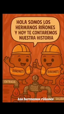 Hermanitos riñones original viral @Albertina Sacaca @Evo Morales Ayma @SANGRE CUMBIERA OFICIAL🩸 @Hilary Layme @Tio Babidi #Ti_toc #karelyruiz #Tiobabydy #fypシ゚viral #
