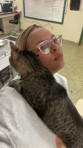 #fyp #animallover #vettech #vetmed #hottake 