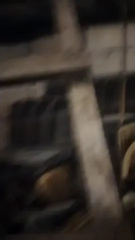 Se filmó a un camión, en la Torre II de la Municipalidad de Santa Anita, al cual llenaban los banners de David Alegría y César Acuña. Lanzando agua al celular, que grabó los hechos, buscaban evitar que se registren los detalles de este delito.