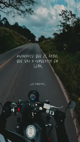 A veces el impulso de avanzar nos hace olvidar lo que alguna vez nos cobijó. No todo lo viejo estorba, a veces solo necesita ser valorado desde otro ángulo. Antes de cortar, piensa si ese árbol no fue el que te dio sombra cuando más la necesitabas. 🌳 #Reflexión #moto #gopro #biker #roadtrip 
