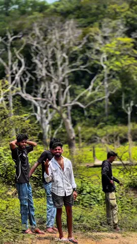 😼❤️‍🔥🗣 #foryou #viral #trending #hornet #dtracker 