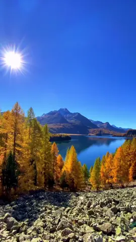 Beautiful autumn in Switzerland! 😱🇨🇭 What’s your absolute favorite spot in Switzerland? Whether it’s a hidden lake, a charming village, or a breathtaking mountain – drop your secret spots and best memories in the comments! 💬 I can’t wait to discover your favorite places!  🎥 by: @swisswoow  #switzerland #swiss #suisse #schweiz #exploreswitzerland
