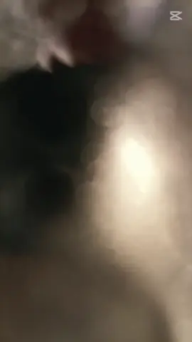 #CapCut #stitch #zaxo #fyp  #stitchkindness  diyarbakır festivali konseri 2025