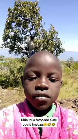 Ukinunua Avocado alafu upate imeoza🥲🤣🤣 #champe #champ #avocado #fyp #kenyansontiktok 