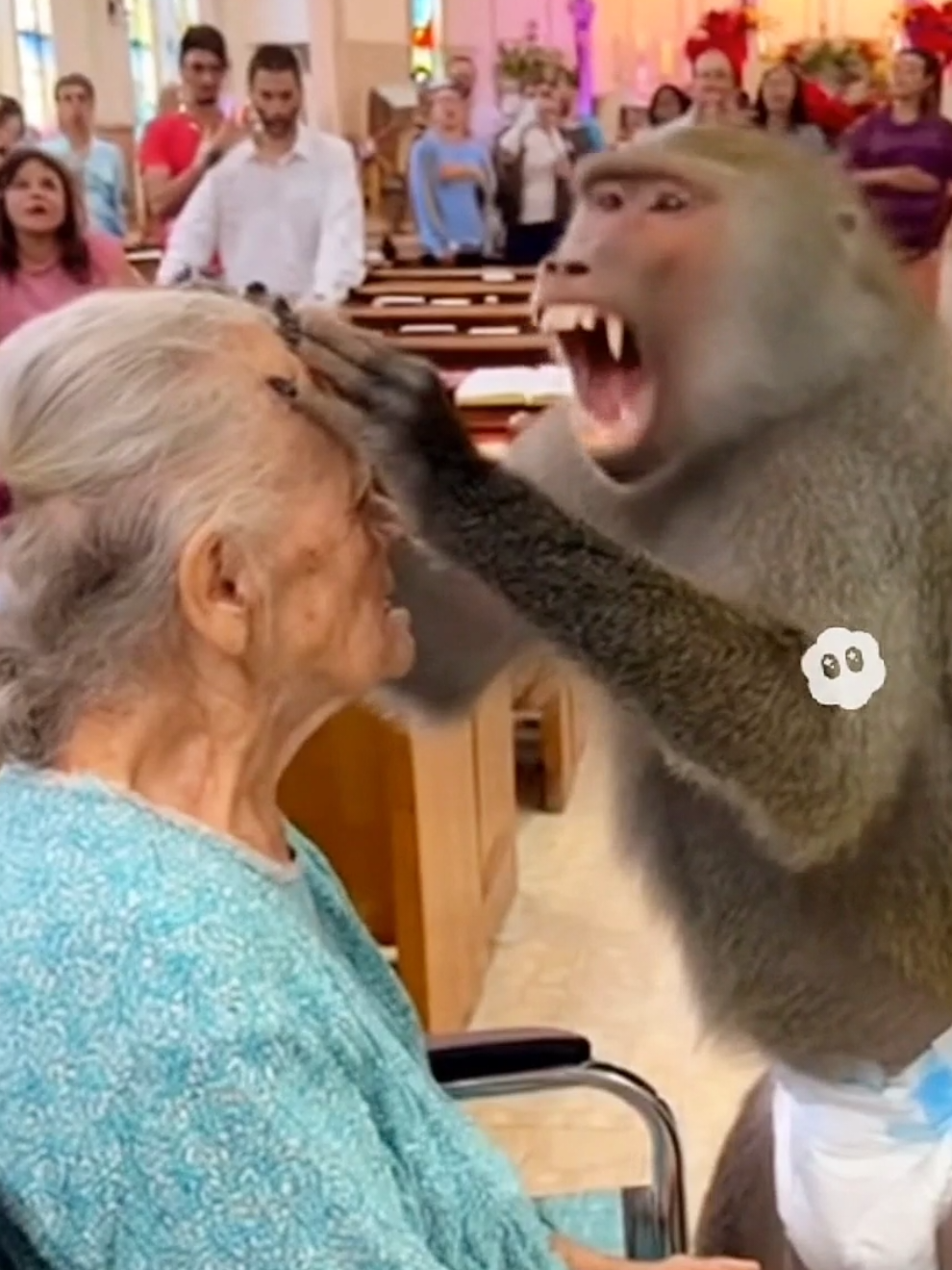 babuino retira o mal de pessoas na igreja! #sora #babuino #sora2 #babu #exorcismo 