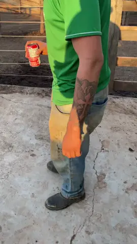 @Brian rzt 🍀  #viraltiktok #curupira 