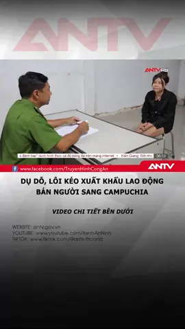 #fyp bên em đang tuyển người đi Campuchia làm việc việc nhẹ lương cao đây mọi người ơi bảo đảm không có lừa đảo ai tin thì mại vô mại vô. em không có lừa đảo Em chỉ lột sạch hết tiền và quần áo của người ta thôi. 