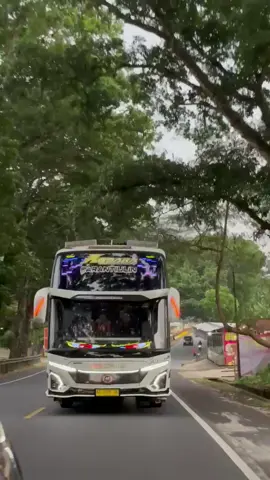 MAUMERE PUTAR KE KIRI E🕺 QQ TRANS ANDARA @rayyis885 @andry_andara005 @adiiiaryana_ @ucokbabywinspector @videogurumu @rapa.suka.ngoyod #kapanlagigeuraaaaaa #kodefypbus #Basuri #24not #videobus #48corong #maniabuscomunity #36coronglebihberisik #36corong #nabillaqqtrans #nabilla #KapanLagi #Busmania