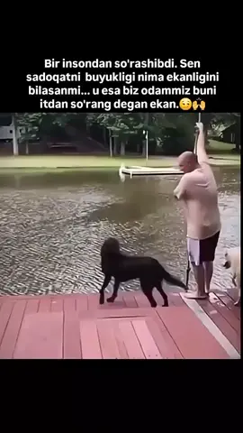 💞💞💞💞 . . . . #rek #dogs #human 