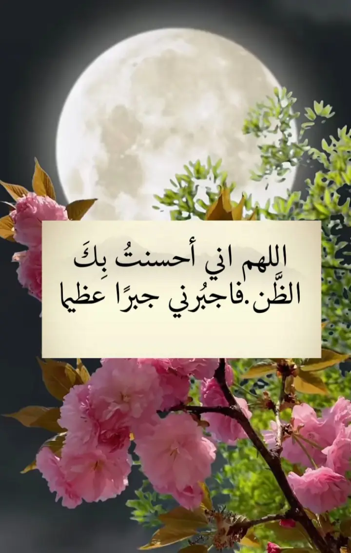 #_هاشتاقات،، 