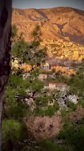 #akre 