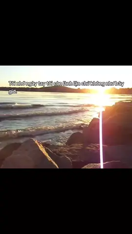 #fypシ゚ #xybca #fyp 