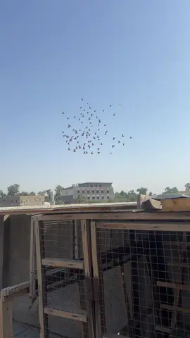 ربما .. سنلتقي