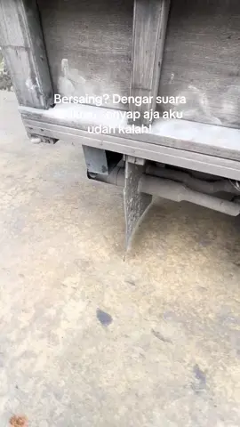 Nasib ae lagi yg kaya dompeng suaranya🤣 #storytrukkalimantan 