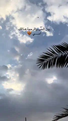 أمي نعمه تعجز الحروف عن وصفها