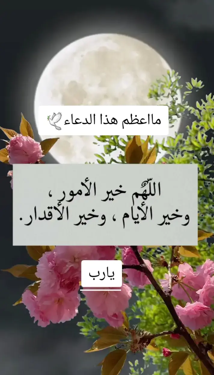 #_هاشتاقات،، 