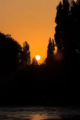 #fyp #acc #explore #foryou #viral 