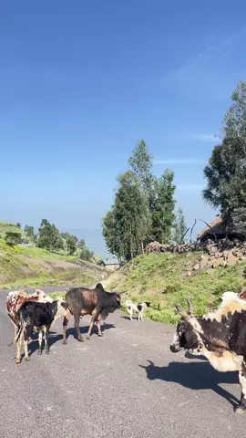 #foryou #attraction #ethiopia #touroperator #lalibela 