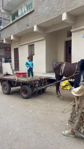 #الشعب_الصيني_ماله_حل😂😂 #