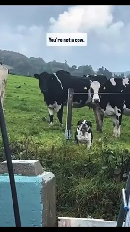 #cute #baby #kids #family #foryou               