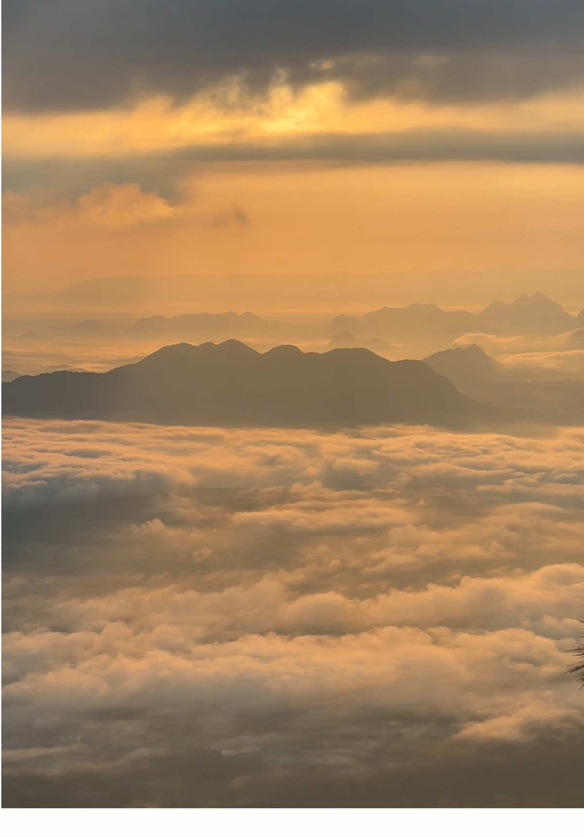 ทะเลหมอกภูกระดึงเช้าวันที่เสาร์ที่ 11/10/2568 ไปมา  4 ครั้ง รอบนี้ Complete แล้วครับ #ภูกระดึง #ทะเลหมอก #ท้องฟ้า 