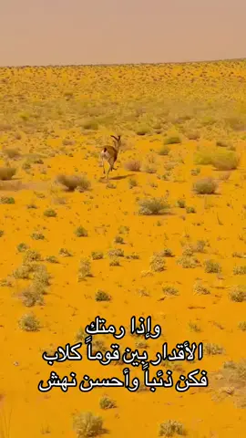 #الصحدرو ##اكسبلور_تيك_توك ##رند_الشهيلي ##السعودية ##الصحون_الطائرة 