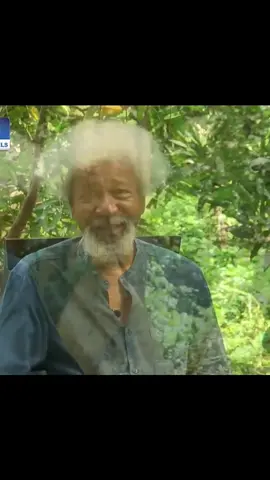 How I Lost My Anonymity As Nobel Prize Winner In Literature - Wole Soyinka #fypviral #fyp #mustwatch #blowup #afrian 
