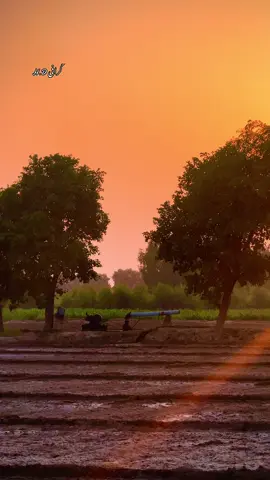 دیگر تے رات صرف تھل دی ۔#پنجاب #خوشاب #تھل #نور پور تھل 