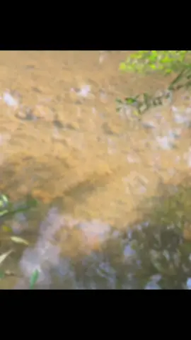 #শেষ_পর্যন্ত_দেখুন_ভিডিওটা 