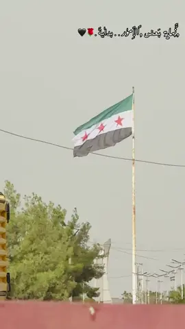 🌹🖤 #مغسلة_الدولي #عين_عاروس #تل_ابيض_رأس_العين_سلوك🖤 #سوريا  #humor 