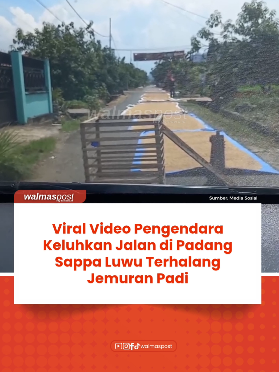 Viral sebuah video memperlihatkan seorang pengendara yang mengeluhkan kondisi jalan umum karena terhalang jemuran padi. Peristiwa itu disebut terjadi di Padang Sappa, Kabupaten Luwu. #walmaspost #videoviral 