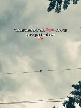 আমি সব সময় ভুল মানুষকেই বিশ্বাস করি..!😅❤️‍🩹#foryou #foryoupage #bdtiktokofficial🇧🇩 #fyp @TikTok @tiktok creators @TikTok Bangladesh 