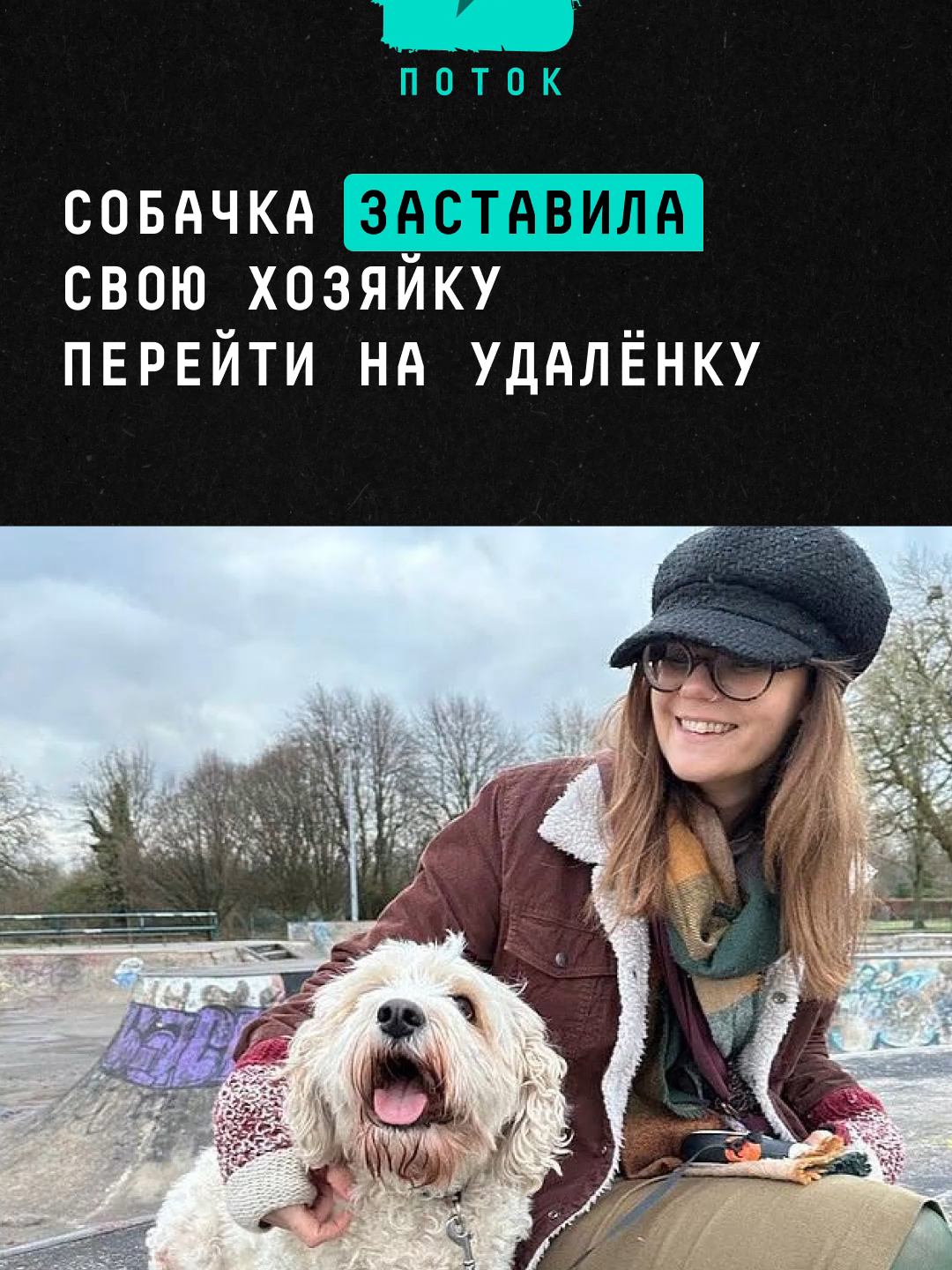 Собачка заставила свою хозяйку перейти на удалёнку #новости #собака #питомец