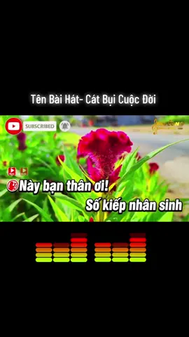 #karaoke🎤 #🎤hatcungtiktok #nhachaymoingay #fyp #hong1986🌹🌹🌹 