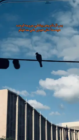 #fyp #foryou #explore #شتاء #trending 