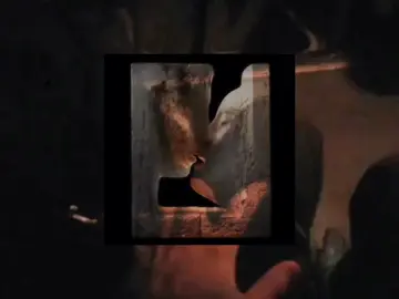 sweet corner #moodboard #strangeconfort #pinterest 