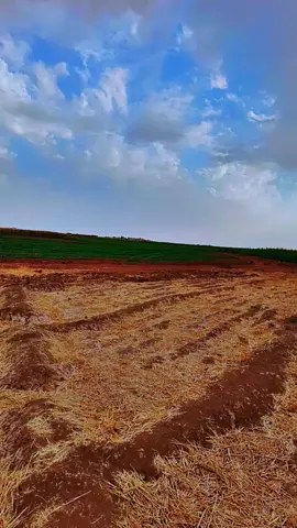 #ماءشالله_جواء_ولا_روع #بني_وايل_حكام_الجزيرة #حولو #شعب_الصيني_ماله_حل😂😂 